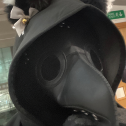 picture of Rohit Jose